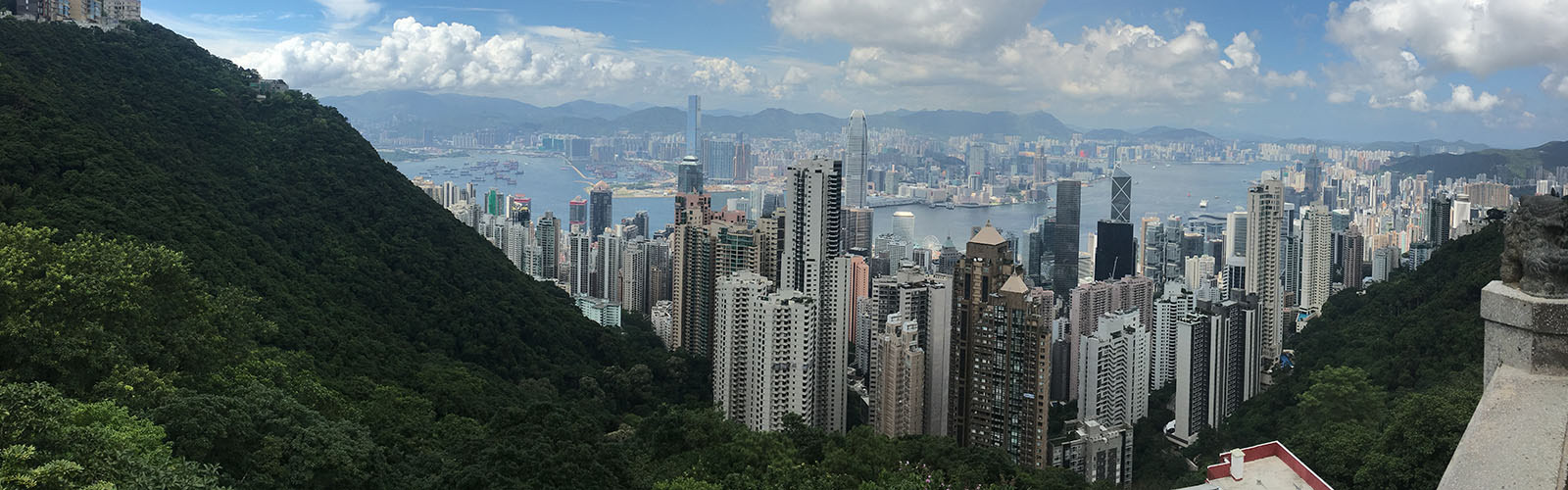 The skyline of Hong Kong as seen from the top of a lush, green mountain, with a river and many skyscrapers in the background. 